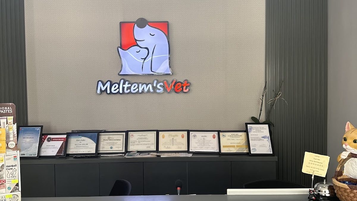 Meltem's Veteriner Kliniği